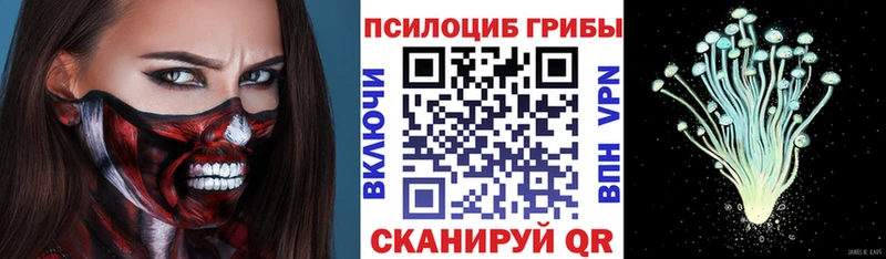 Псилоцибиновые грибы MAGIC MUSHROOMS  MEGA   дарк нет Telegram  Рыльск 